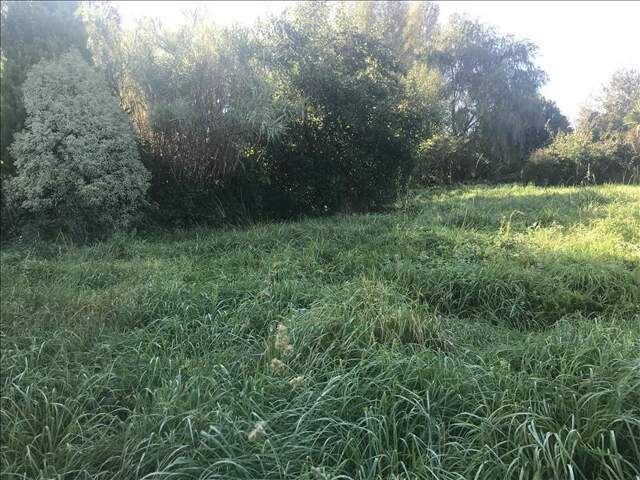 Terrain à bâtir de 0 pièces principales — photo du bien