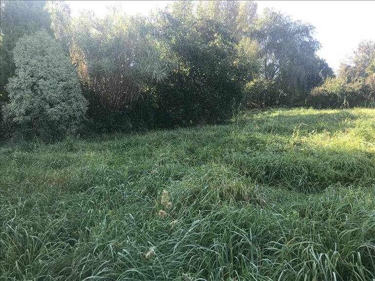 Terrain à bâtir de 0 pièces principales — photo 1