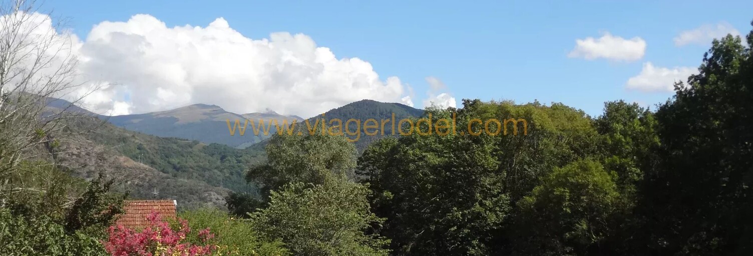 Maison 71 m² en viager Surba (09400)