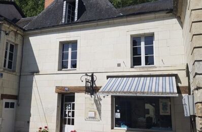 vente maison 157 500 € à proximité de Braye-sous-Faye (37120)