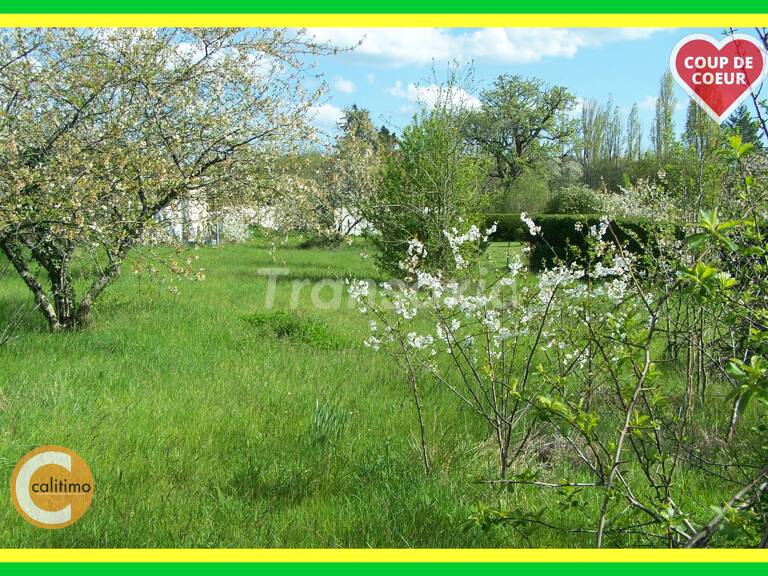 TERRAIN DE LOISIRS C.U.POSITIF — photo 1