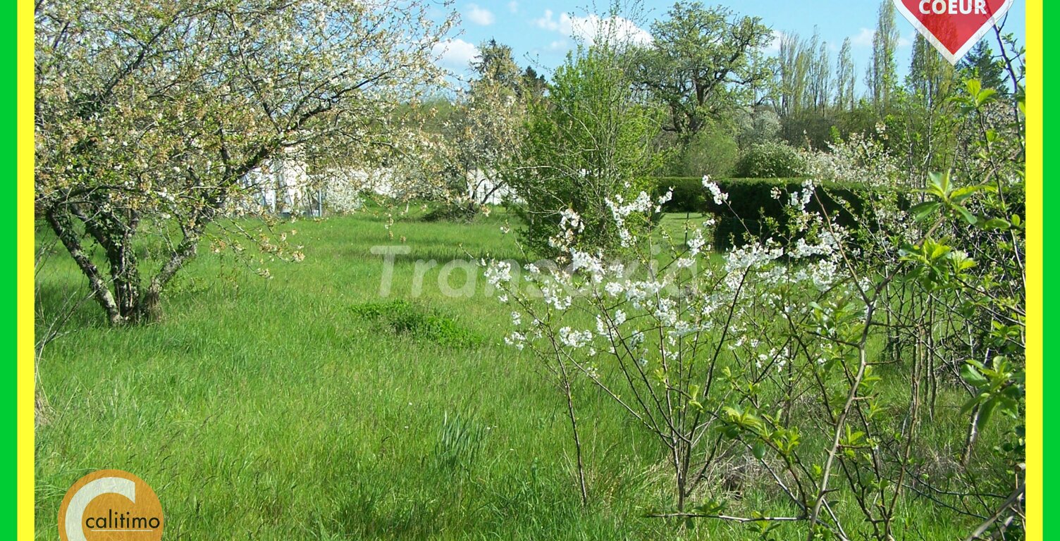 TERRAIN DE LOISIRS C.U.POSITIF — photo 1