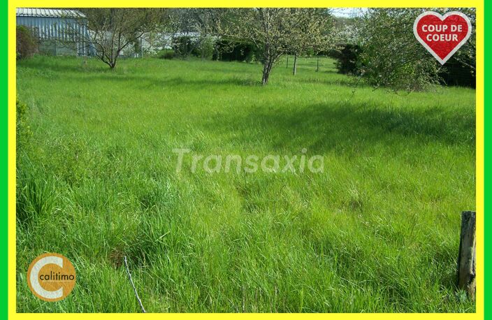 TERRAIN DE LOISIRS C.U.POSITIF — photo 2
