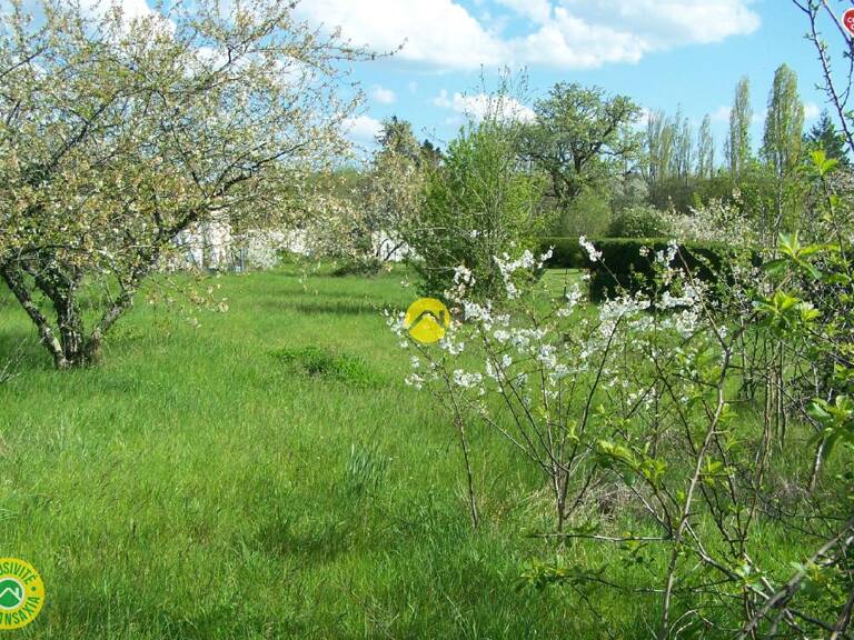 TERRAIN DE LOISIRS C.U.POSITIF — photo 1