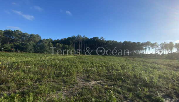 Terrain  à vendre Moliets-et-Maa 40660