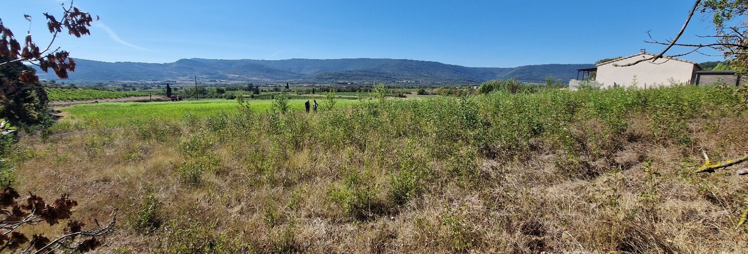 Terrain  1354 m² à vendre à Arquettes-en-Val (11220)