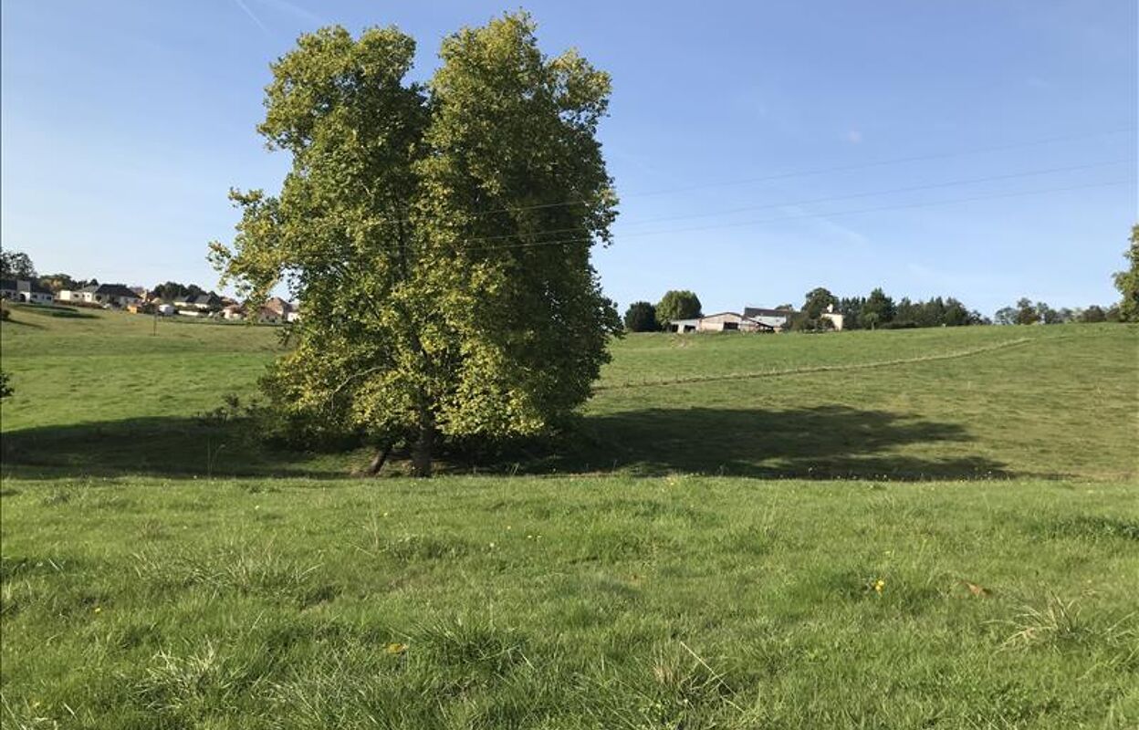 terrain  pièces 1500 m2 à vendre à Malemort (19360)