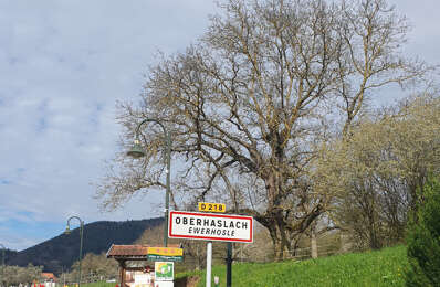 vente maison 379 800 € à proximité de Obernai (67210)
