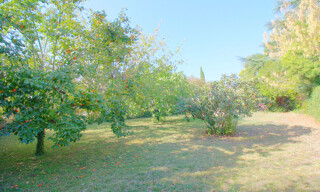 Photo N° 5