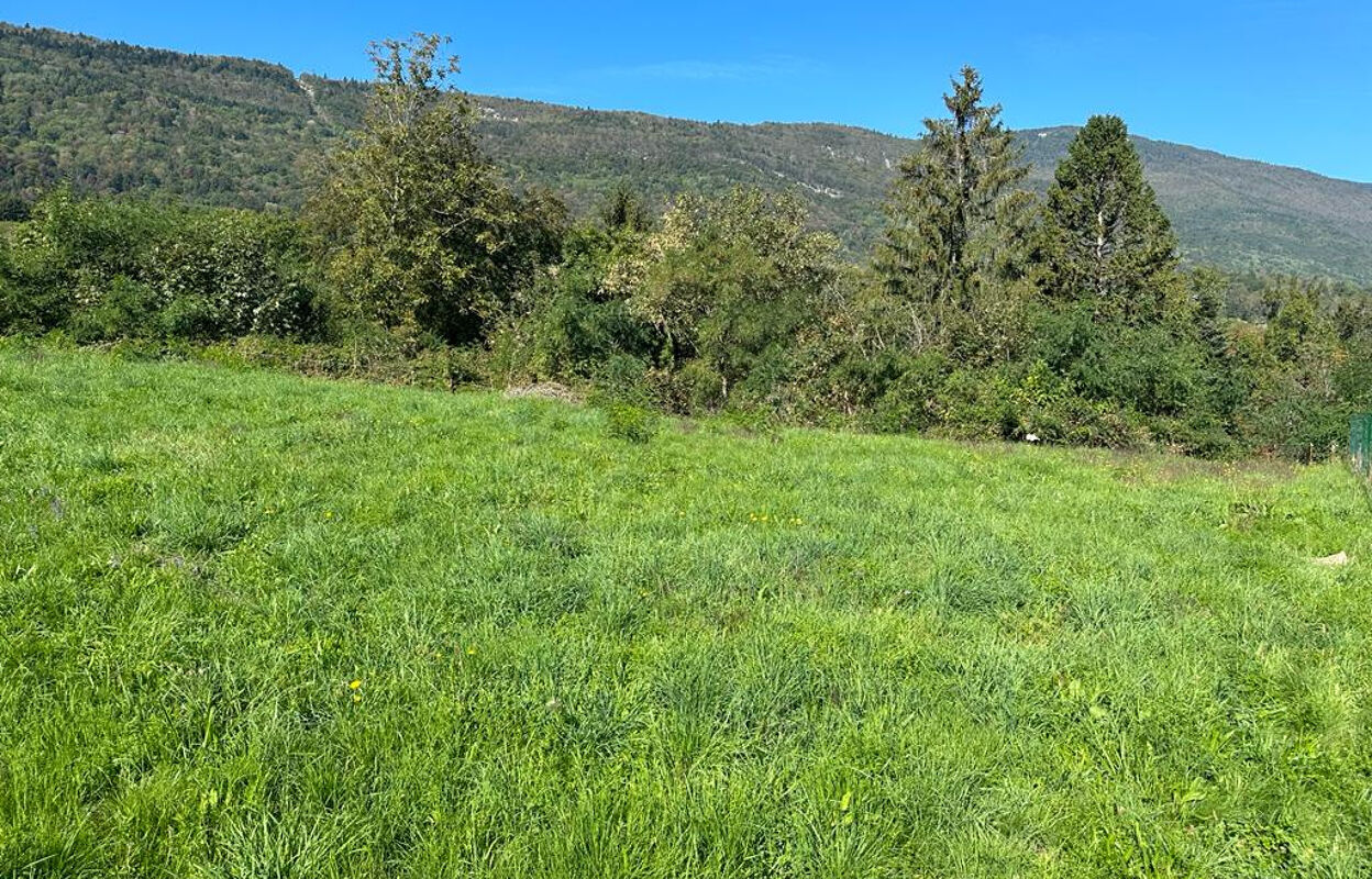 terrain  pièces 600 m2 à vendre à La Motte-Servolex (73290)