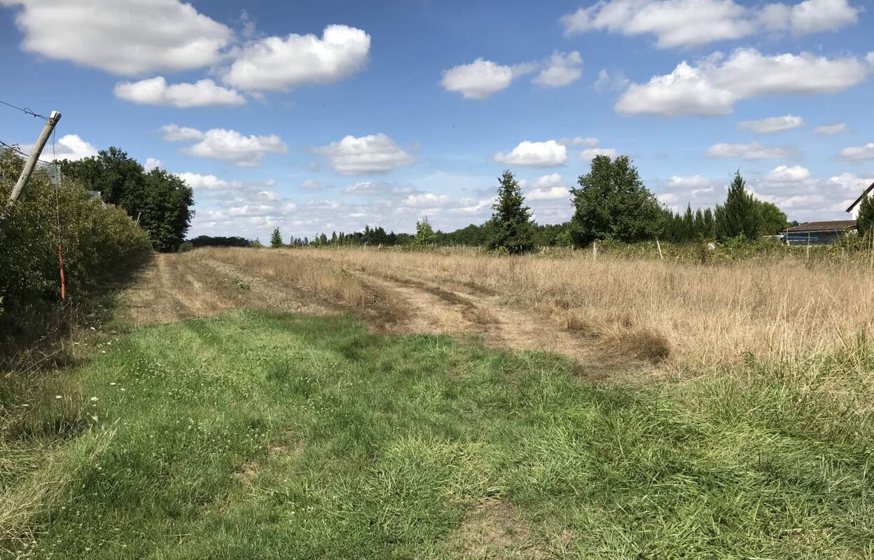 terrain  pièces 1100 m2 à vendre à Pont-de-Ruan (37260)