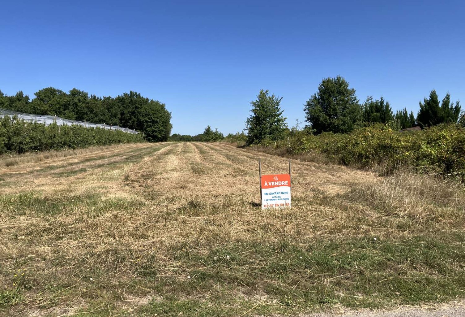 Vente terrain  1212 m² Pont-de-Ruan (37260) — photo 1