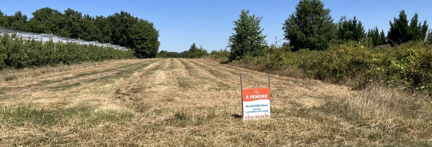 Terrain  1212 m² à vendre à Pont-de-Ruan (37260)