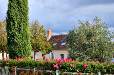 vente maison 1 455 000 € à proximité de Ouzouer-sur-Loire (45570)