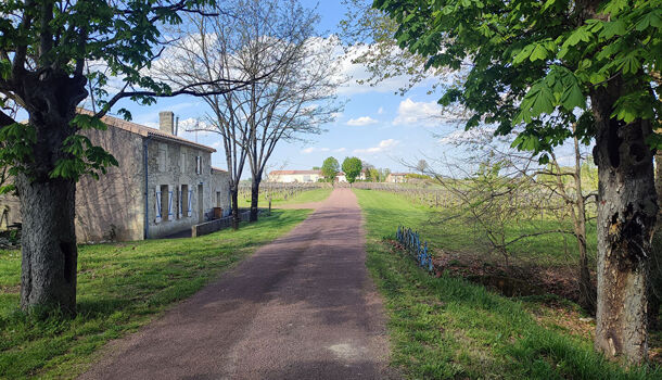 Villa / Maison 16 pièces  à vendre Blaye 33390