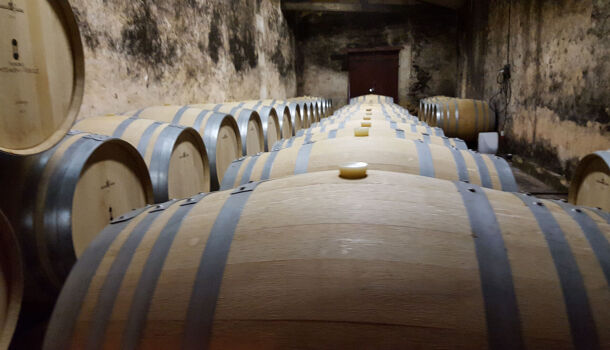 Villa / Maison 16 pièces  à vendre Blaye 33390