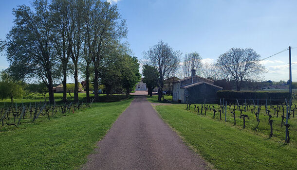 Villa / Maison 16 pièces  à vendre Blaye 33390