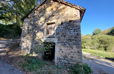 vente maison 40 000 € à proximité de Belfort-du-Quercy (46230)