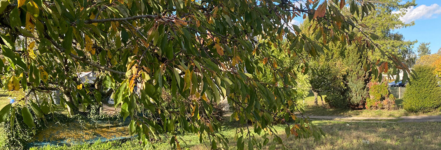 Terrain  476 m² à vendre à Fay-aux-Loges (45450)