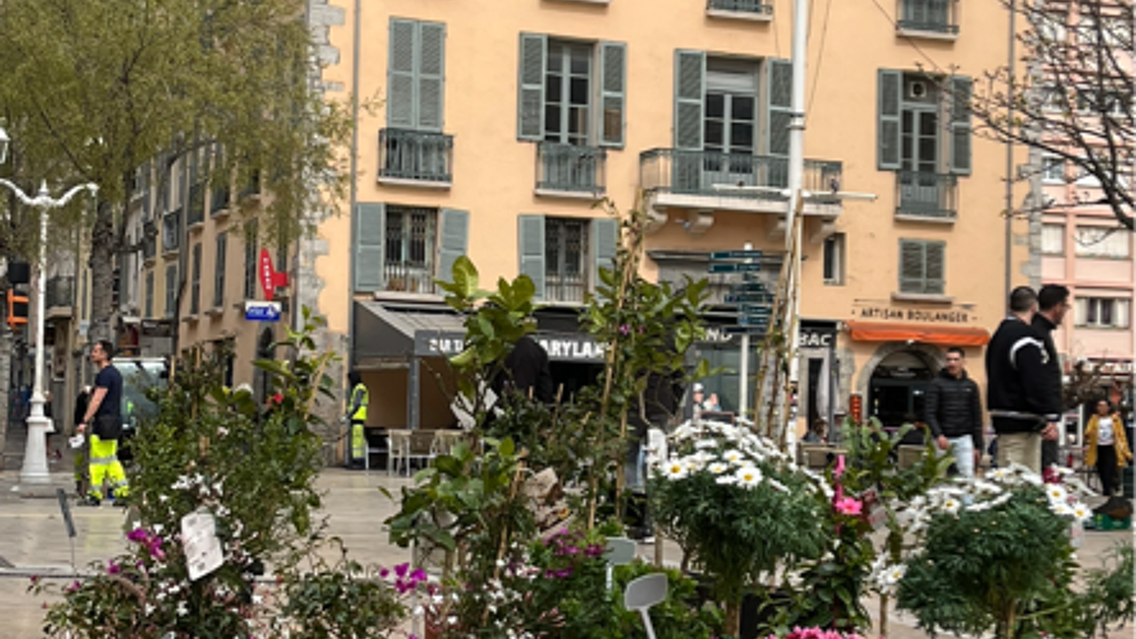 appartement  pièces 30 m2 à vendre à Toulon (83000)