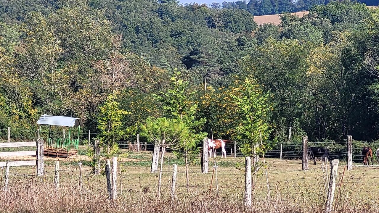 terrain  pièces 90000 m2 à vendre à Saint-Maime-de-Péreyrol (24380)