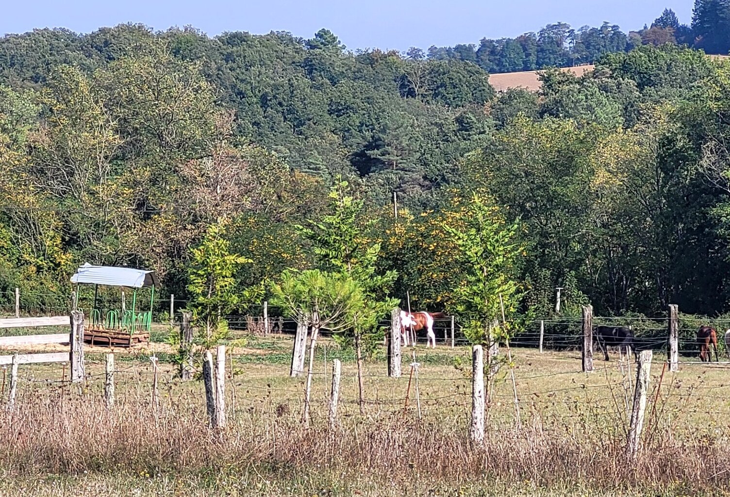 Terrain de loisir — photo 1