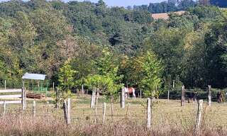 Terrain  90000 m² à vendre à Saint-Mayme-de-Péreyrol (24380)