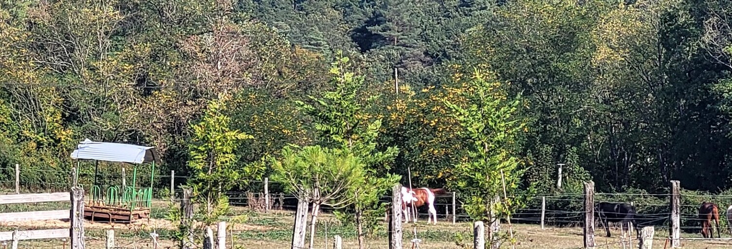 Terrain  90000 m² à vendre à Saint-Mayme-de-Péreyrol (24380)