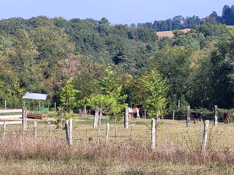 Terrain de loisir — photo 1