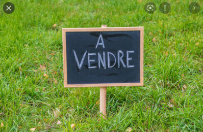 vente terrain 72 500 € à proximité de La Ferrière (37110)