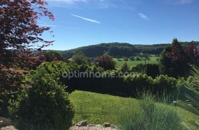 vente maison 990 000 € à proximité de Hagenthal-le-Haut (68220)