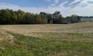 Terrain  8711 m² à vendre à Pauilhac (32500)