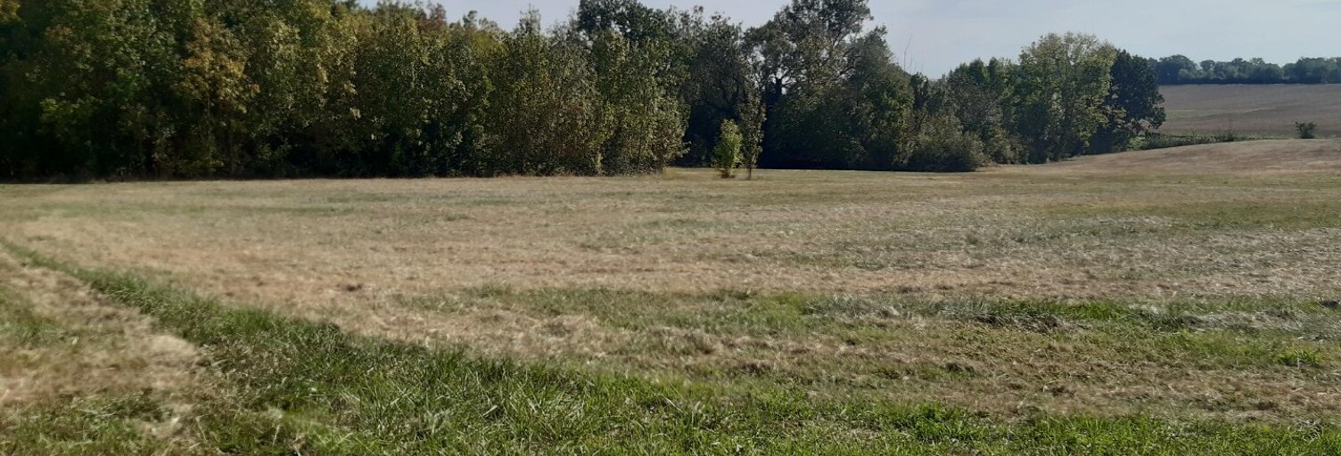 Terrain  8711 m² à vendre à Pauilhac (32500)