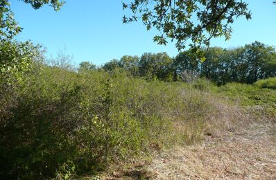 terrain  pièces 5345 m2 à vendre à Parisot (82160)