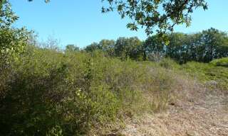 Terrain  5345 m² à vendre à Parisot (82160)