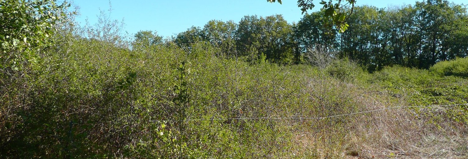 Terrain  5345 m² à vendre à Parisot (82160)