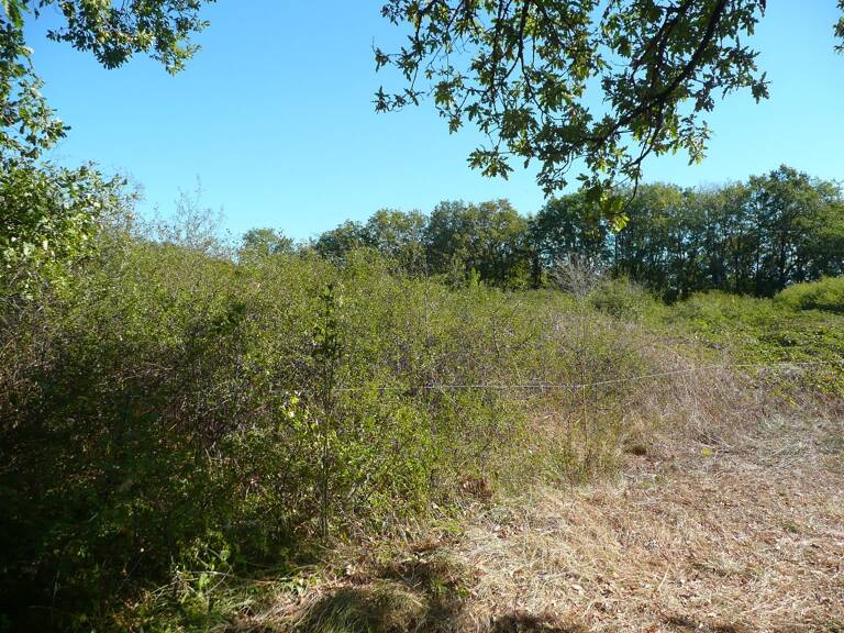 Terrain constructible — photo 1
