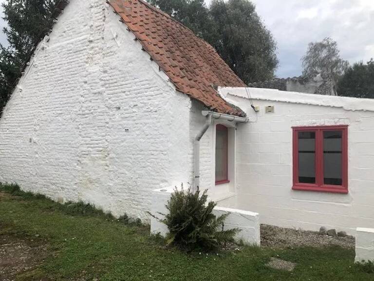FLAMANDE INDIVIDUELLE — photo 1