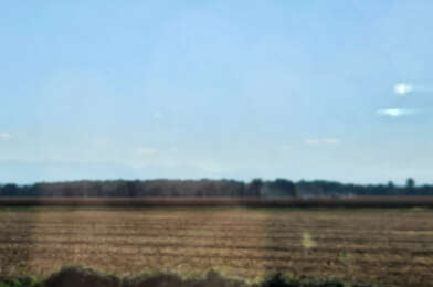 Commerce 1 pièces 1300 €