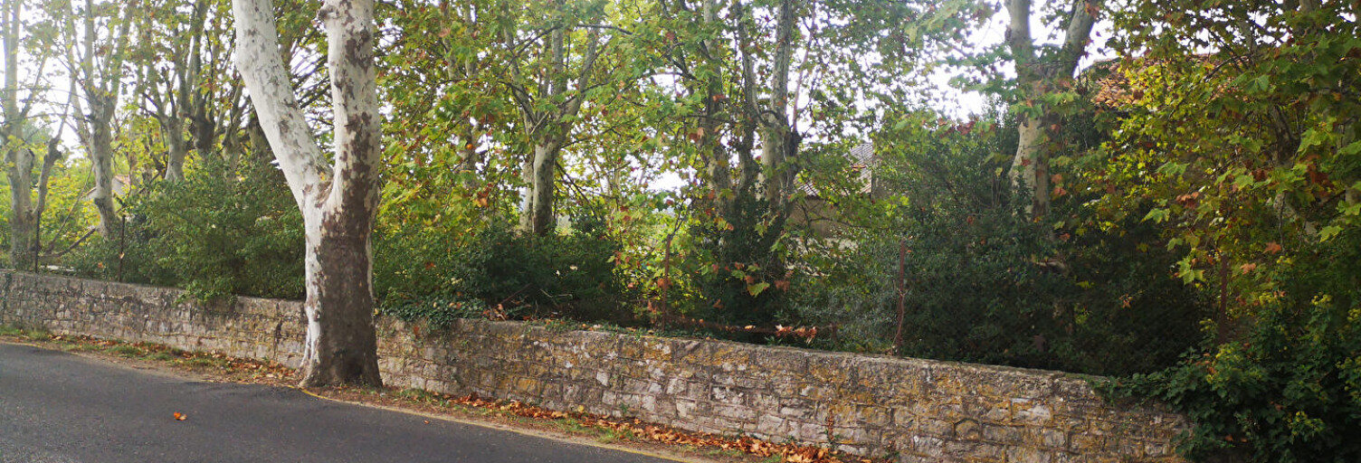 Terrain  1831 m² à vendre à Campagnan (34230)