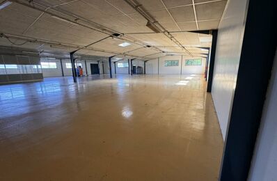 commerce  pièces 1100 m2 à vendre à Monnaie (37380)