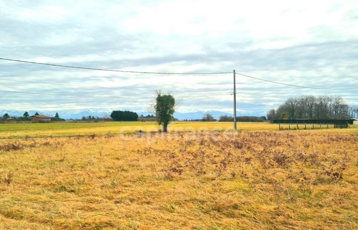 terrain  pièces 4150 m2 à vendre à Bordères-sur-l'Échez (65320)