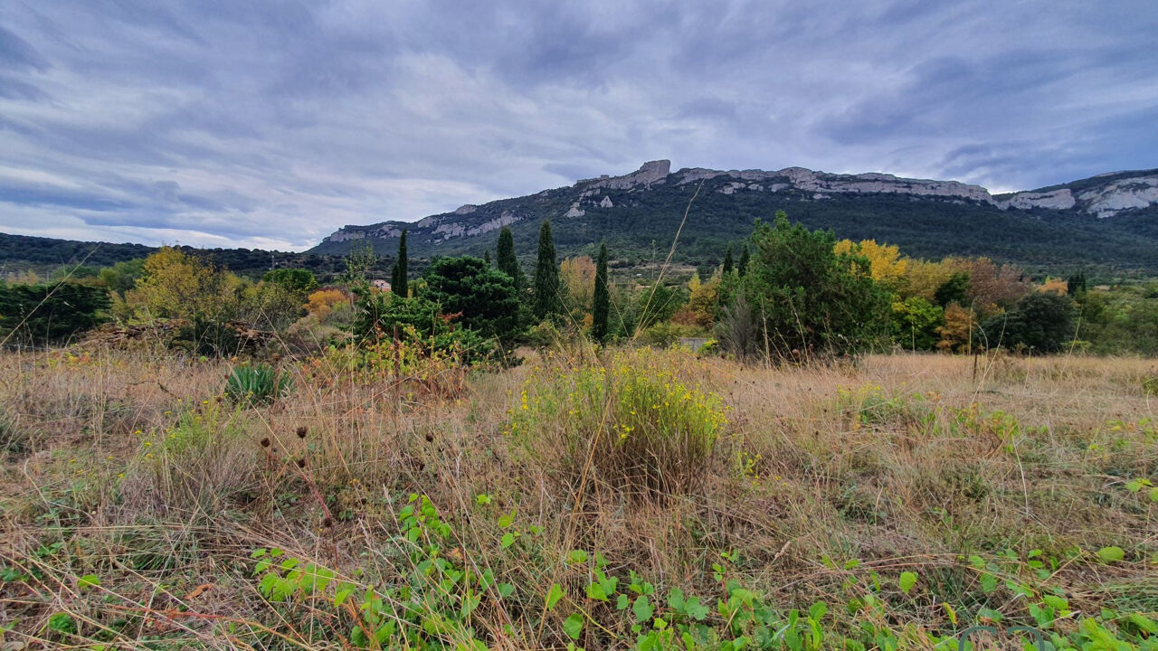 terrain  pièces 8950 m2 à vendre à Rouffiac-des-Corbières (11350)