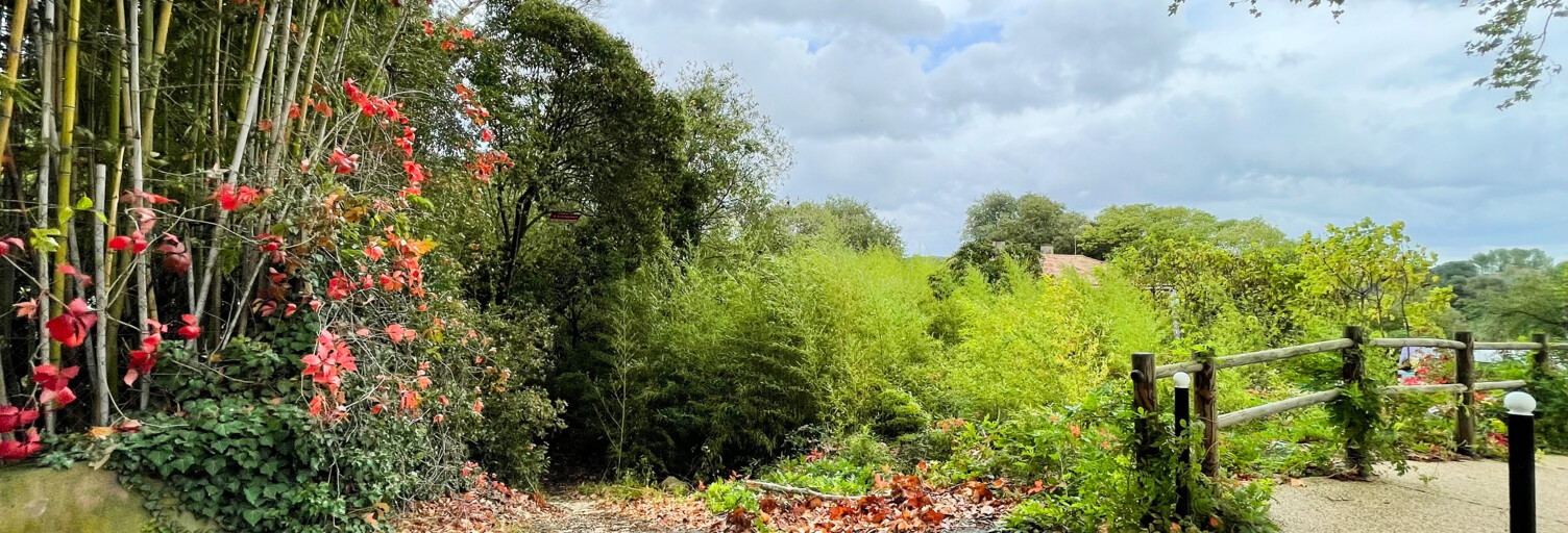 Terrain  859 m² à vendre à Collias (30210)