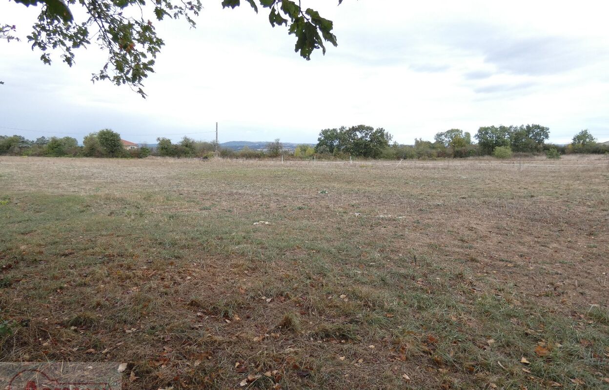 terrain  pièces 5800 m2 à vendre à Cordes-sur-Ciel (81170)