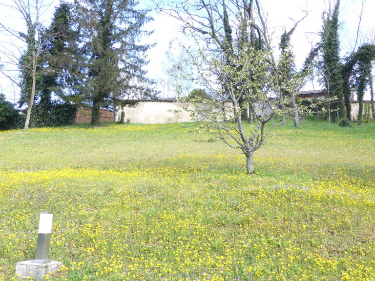 Terrain coup de coeur — photo 1