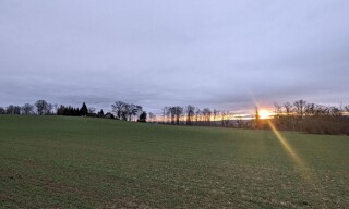 Photo N° 5