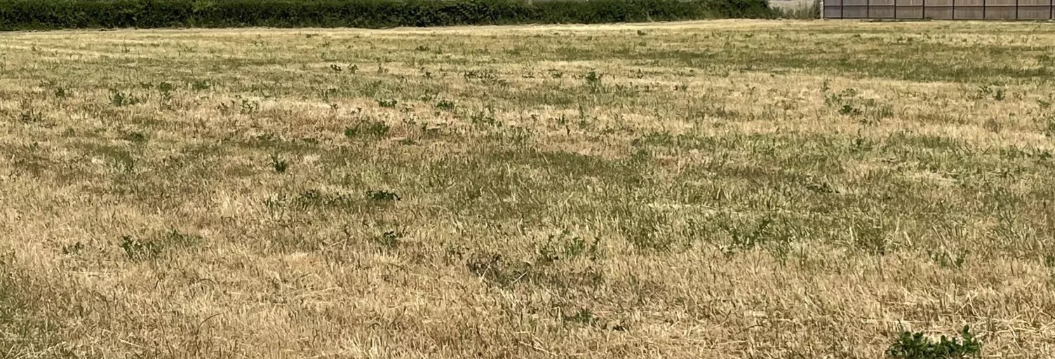 Terrain  773 m² à vendre à Souvigny (03210)