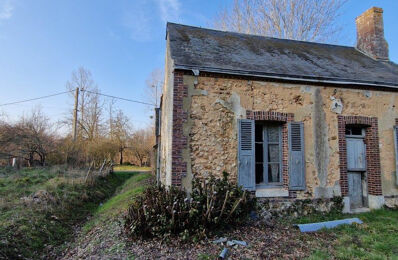 vente maison 39 500 € à proximité de Ouzouer-le-Marché (41240)