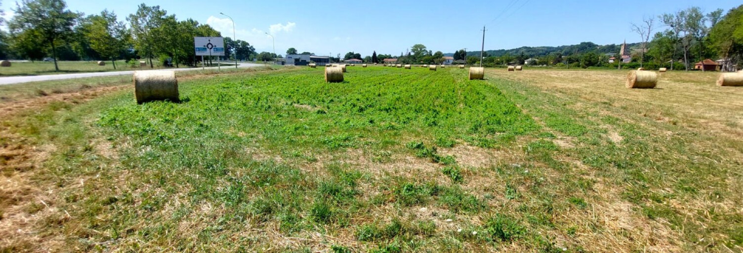 Terrain  7913 m² à vendre à Villeneuve-de-Rivière (31800)